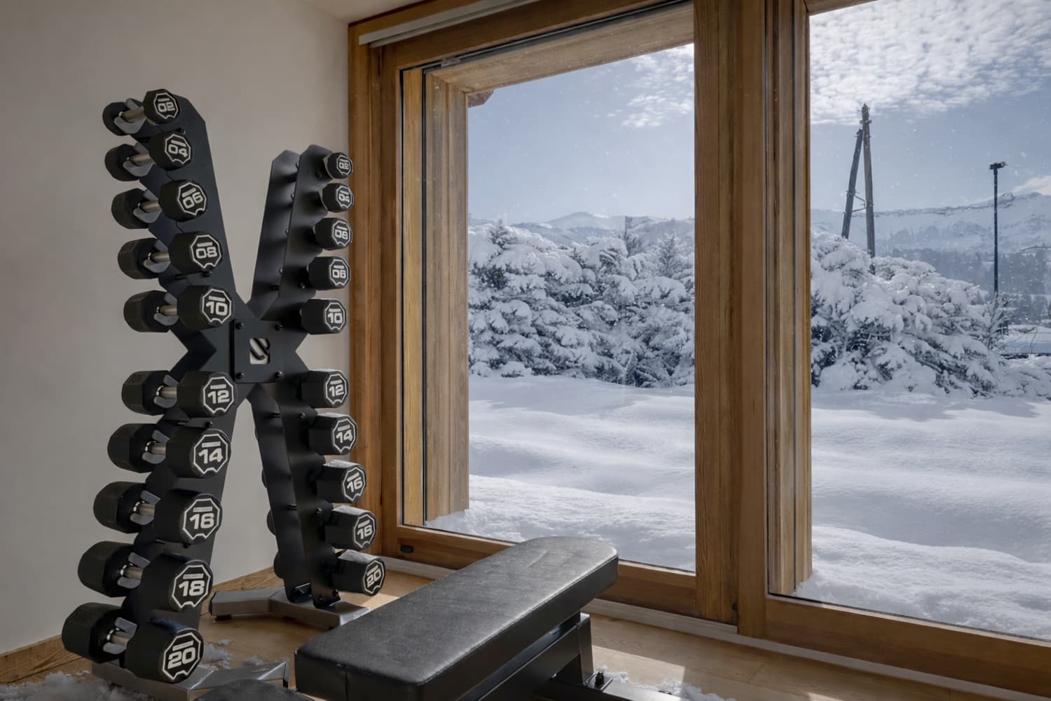 Salle de sport avec poids, vue sur la montagne